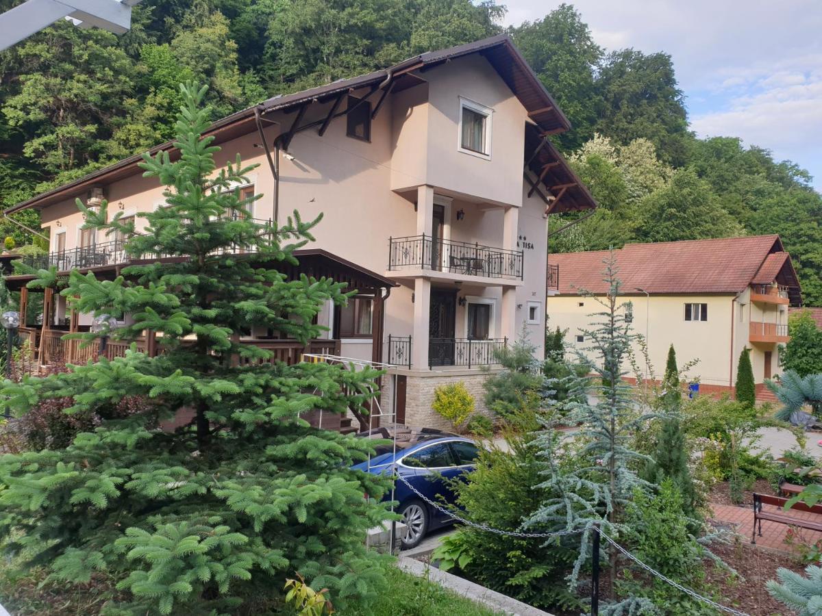 Vila Tisa Tismana Dış mekan fotoğraf