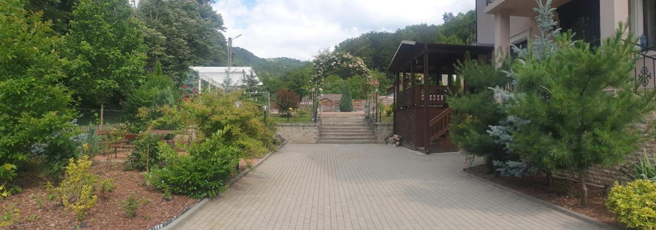 Vila Tisa Tismana Dış mekan fotoğraf